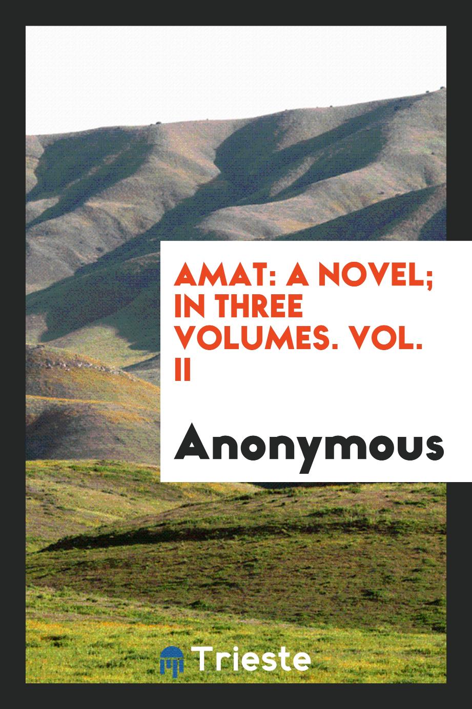 Amat: a novel; in three volumes. Vol. II