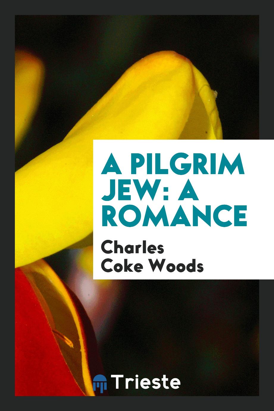 A Pilgrim Jew: A Romance
