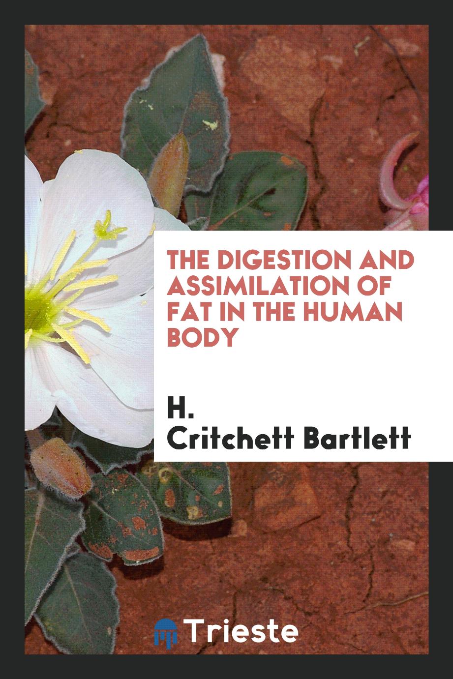 The digestion and assimilation of fat in the human body
