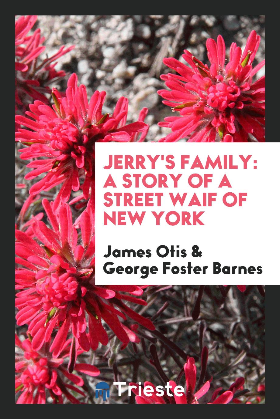 Jerry's Family: A Story of a Street Waif of New York