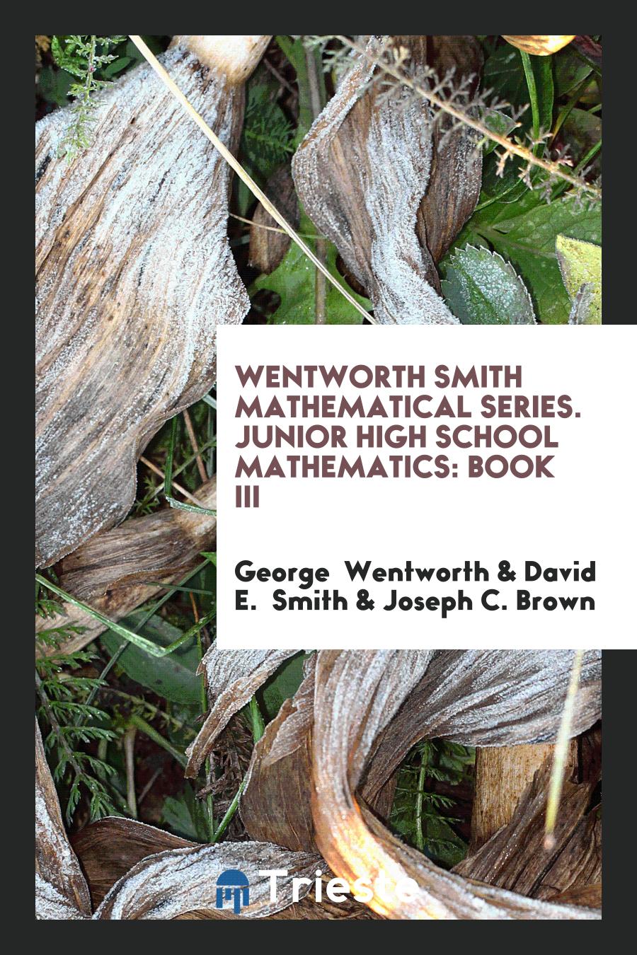 Wentworth Smith Mathematical Series. Junior High School Mathematics: Book III