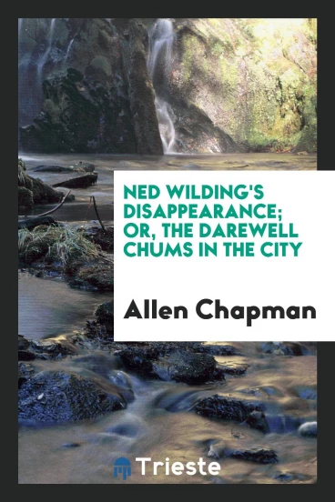 Ned Wilding's disappearance; or, The Darewell chums in the city