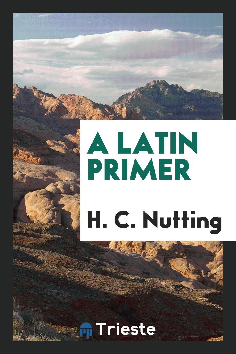 A Latin primer