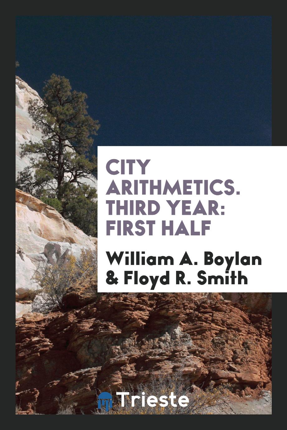 City Arithmetics. Third Year: First Half