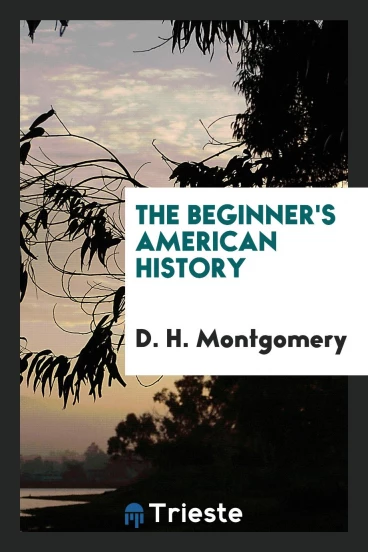 The beginner's American history