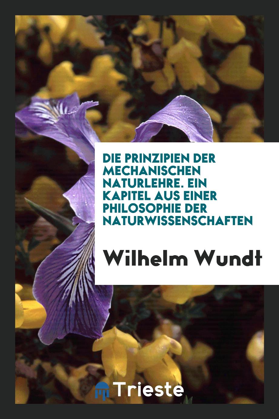 Wilhelm Wundt - Die Prinzipien der mechanischen Naturlehre. Ein Kapitel aus einer Philosophie der Naturwissenschaften