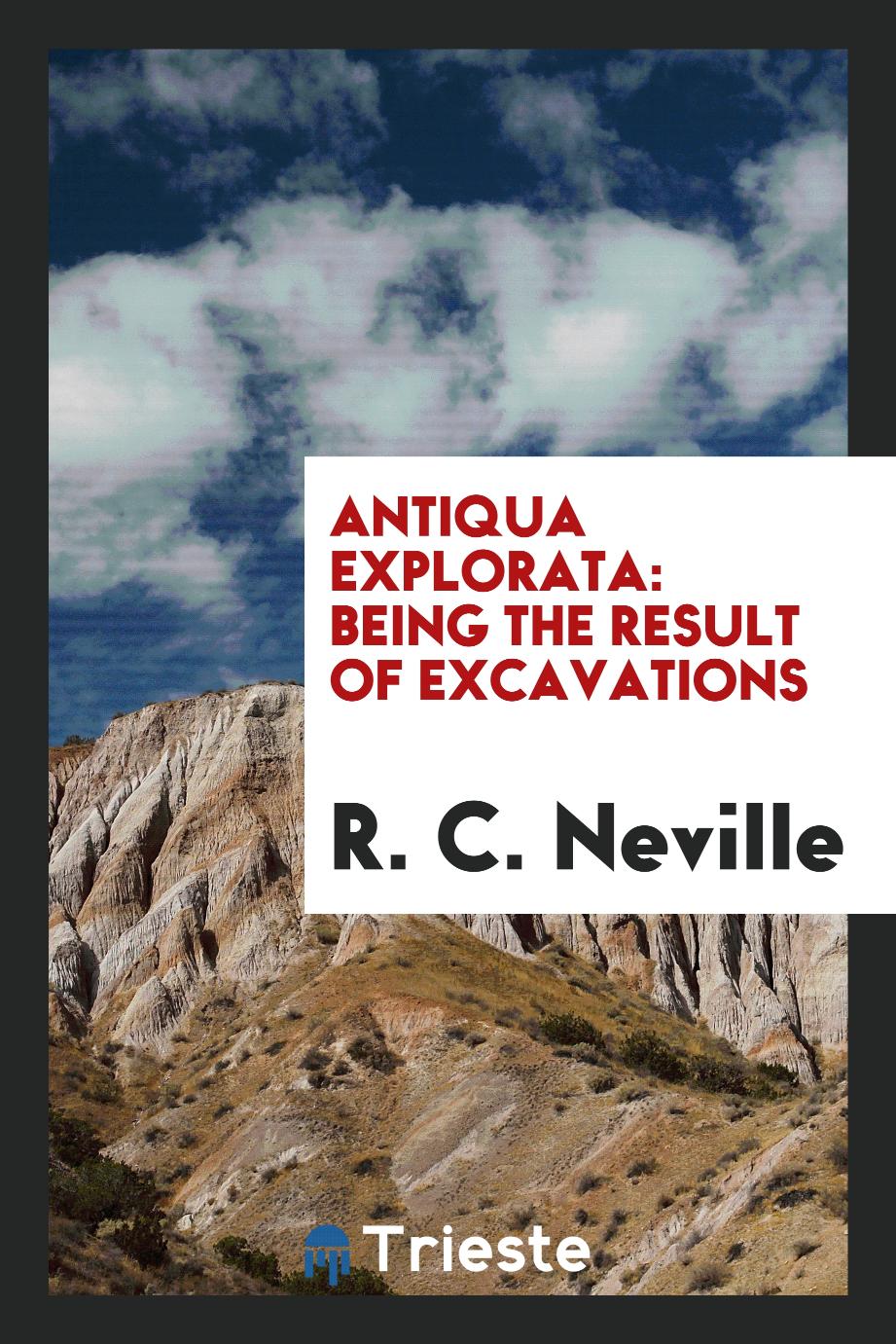 Antiqua Explorata: Being the Result of Excavations