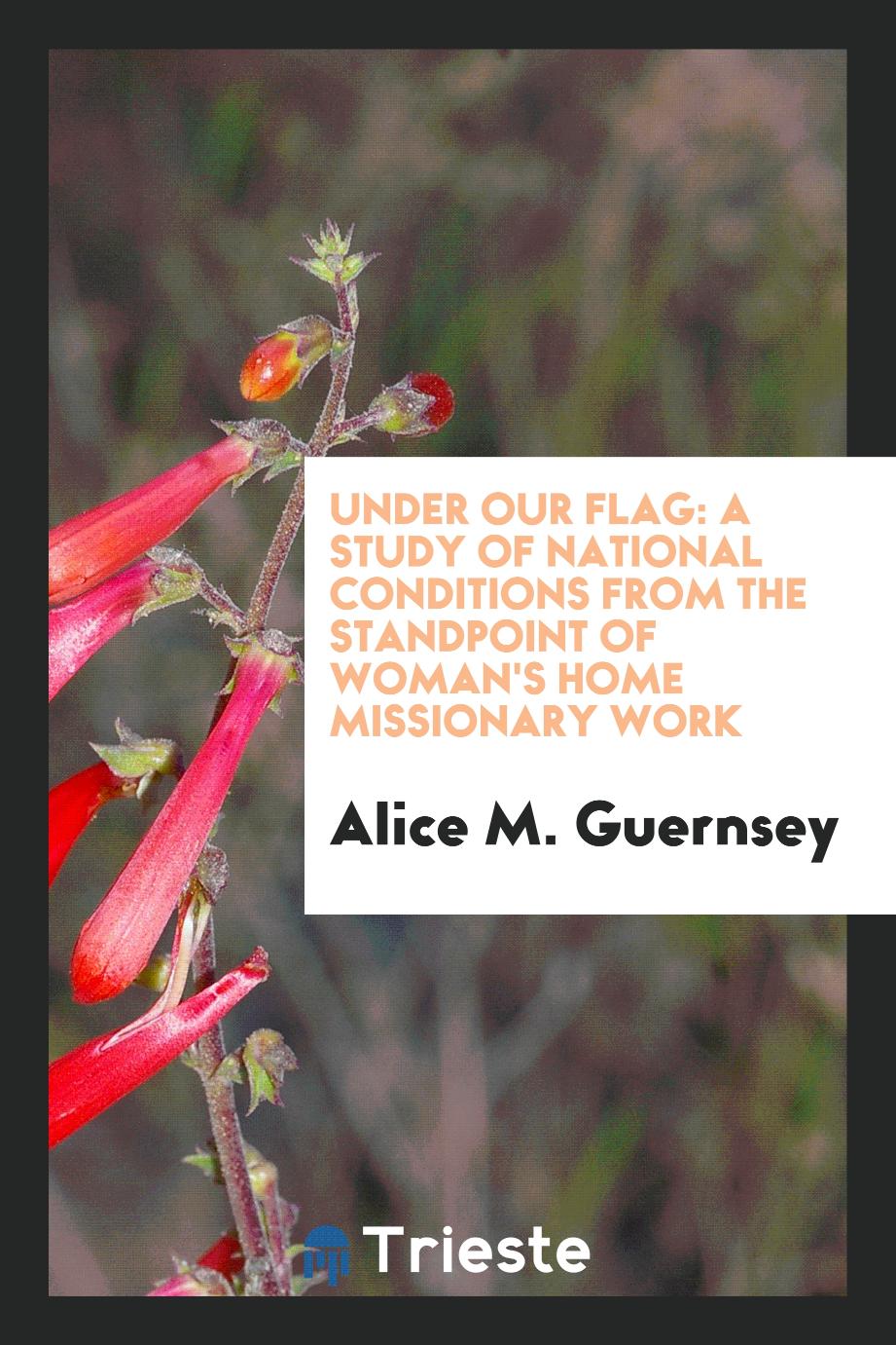 Under our flag: a study of national conditions from the standpoint of woman's home missionary work