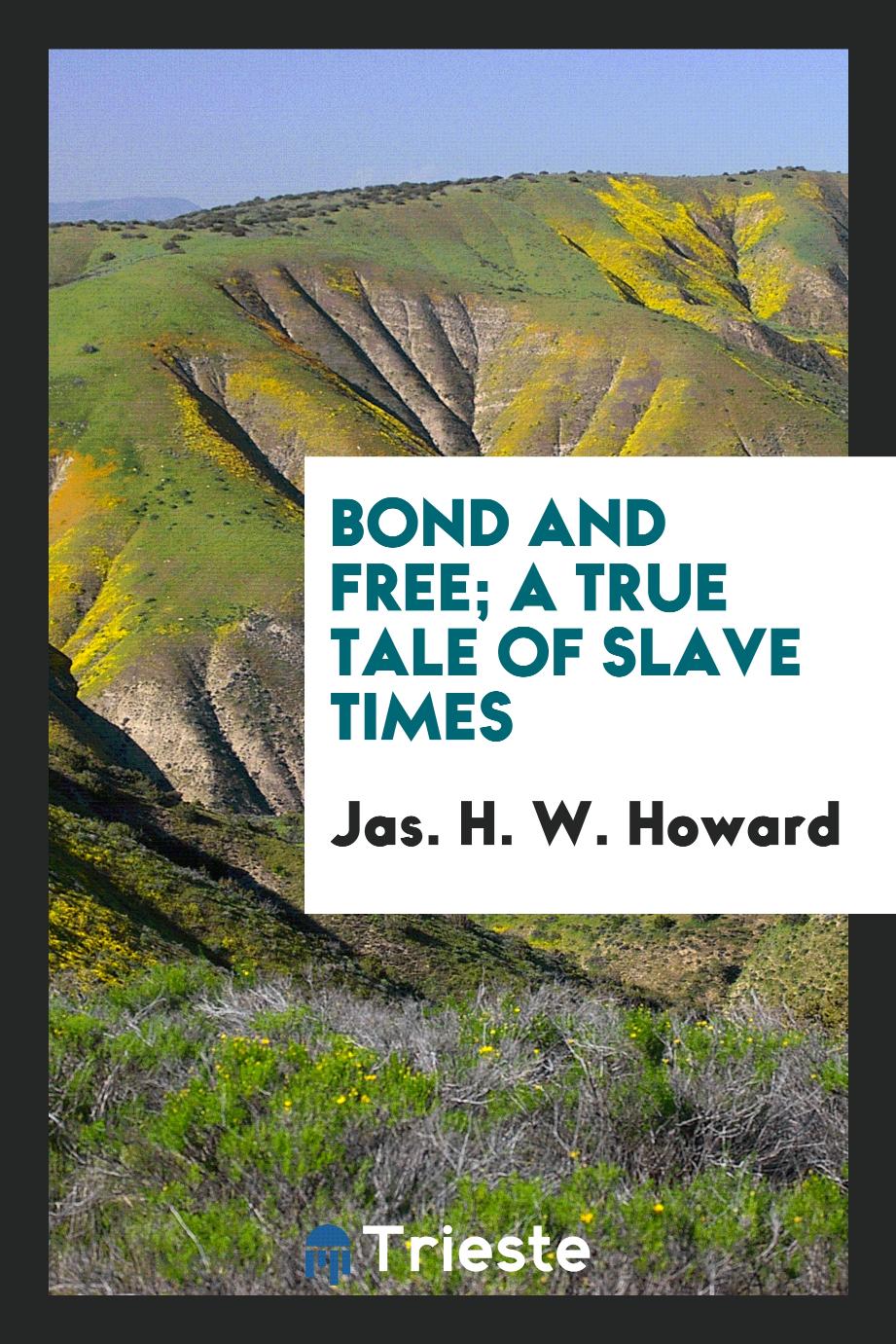 Bond and free; a true tale of slave times