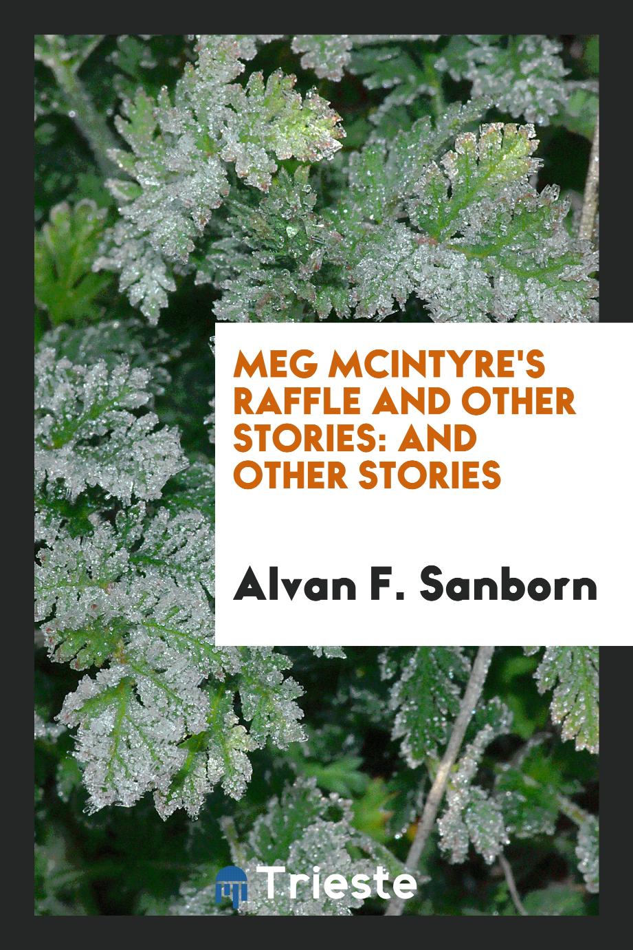 Meg McIntyre's Raffle and Other Stories: And Other Stories