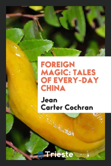 Foreign magic: tales of every-day China