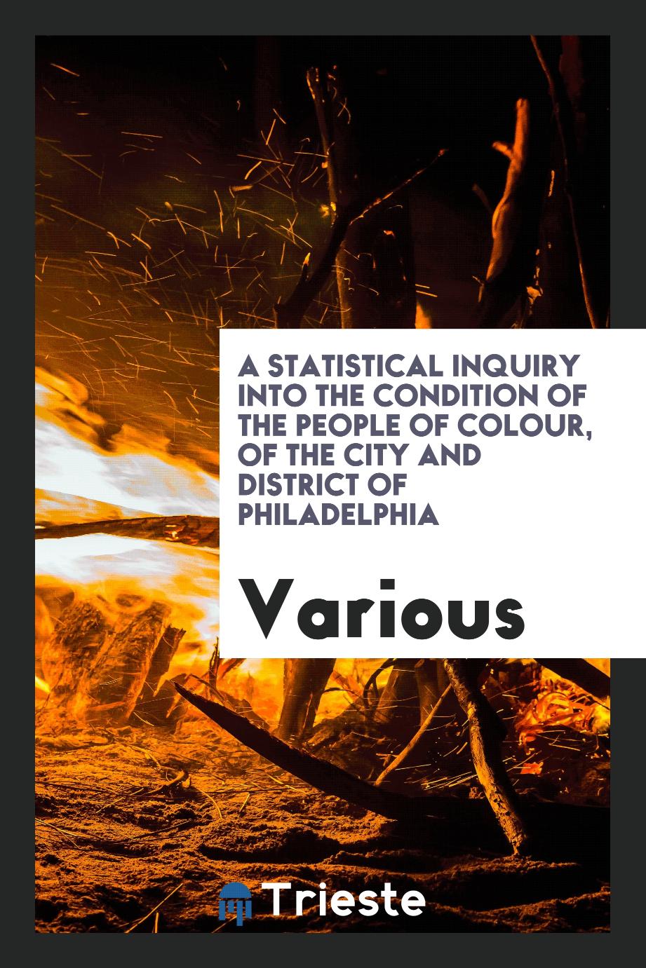 A Statistical Inquiry Into the Condition of the People of Colour, of the City and District of Philadelphia