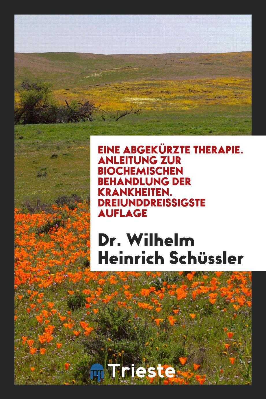 Eine Abgekürzte Therapie. Anleitung zur Biochemischen Behandlung der Krankheiten. Dreiunddreißigste Auflage