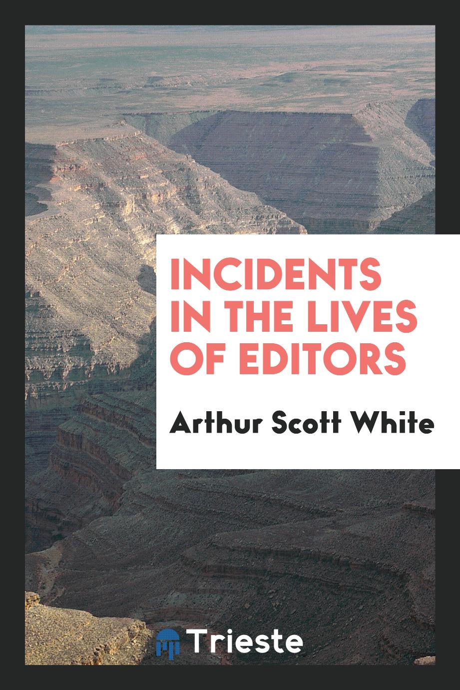 Incidents in the Lives of Editors