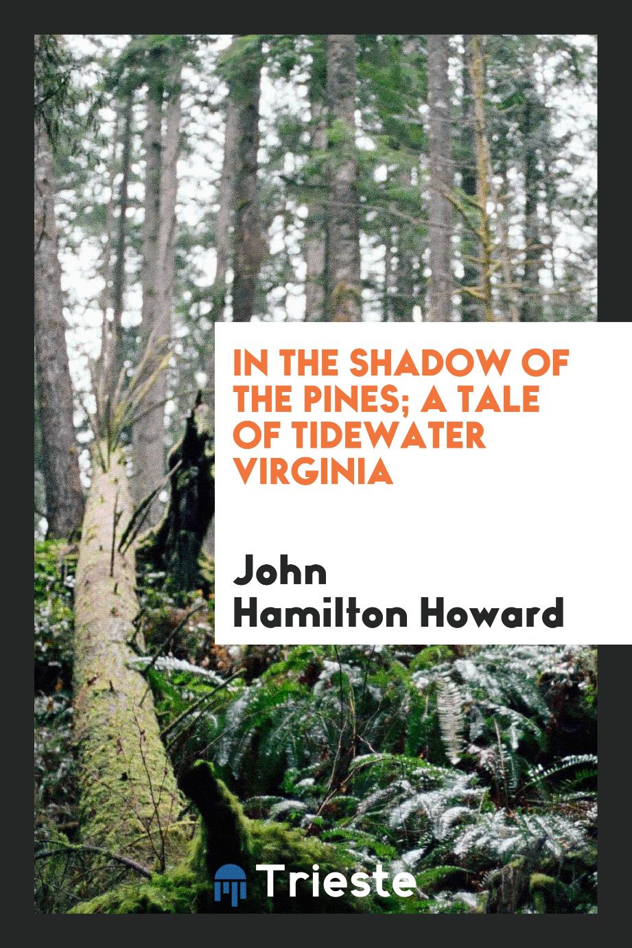 In the shadow of the pines; a tale of Tidewater Virginia