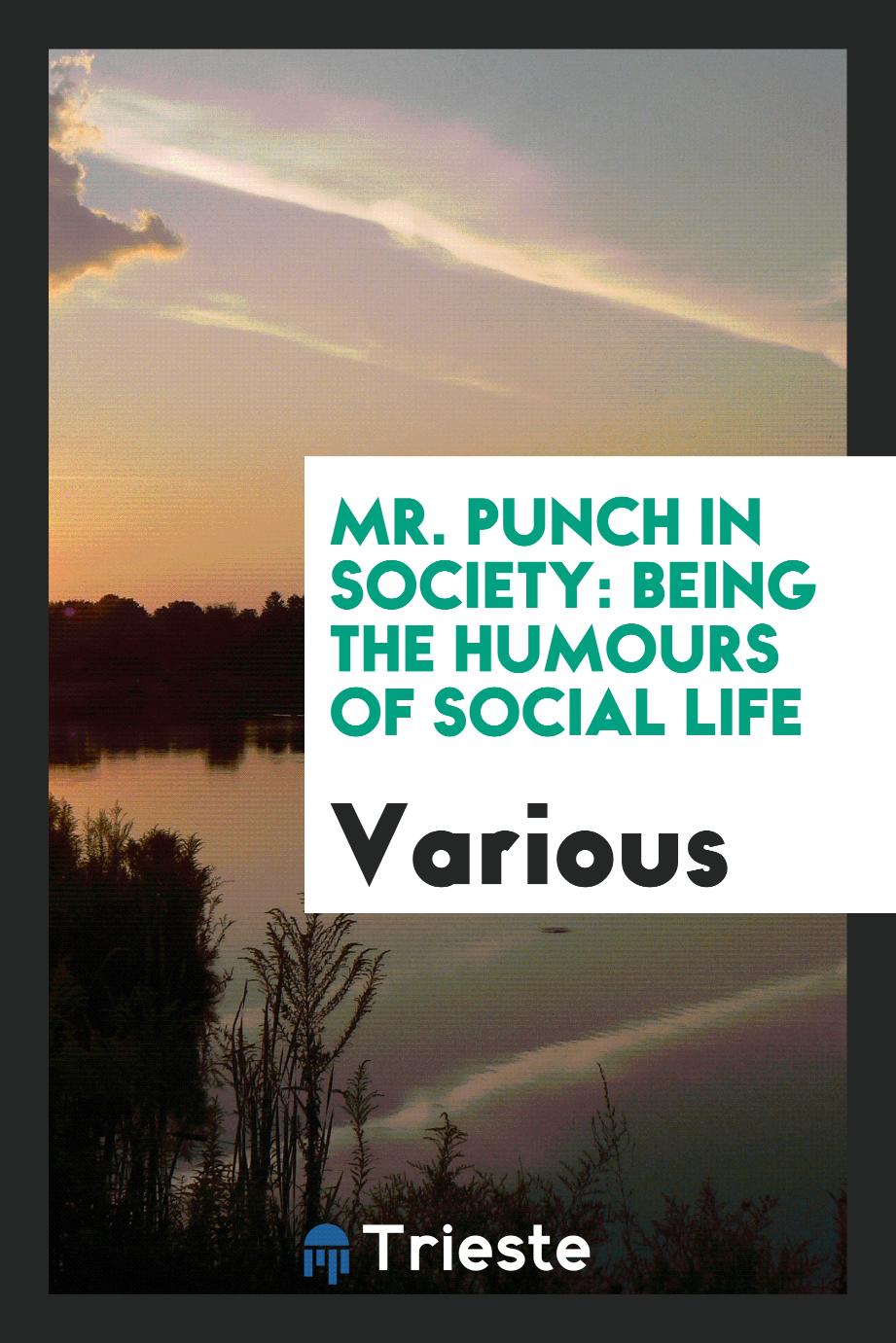 Mr. Punch in society: being the humours of social life