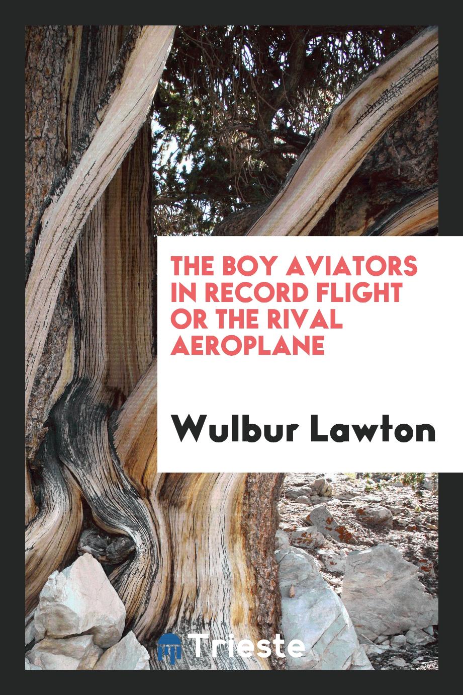The boy aviators in record flight or The rival aeroplane