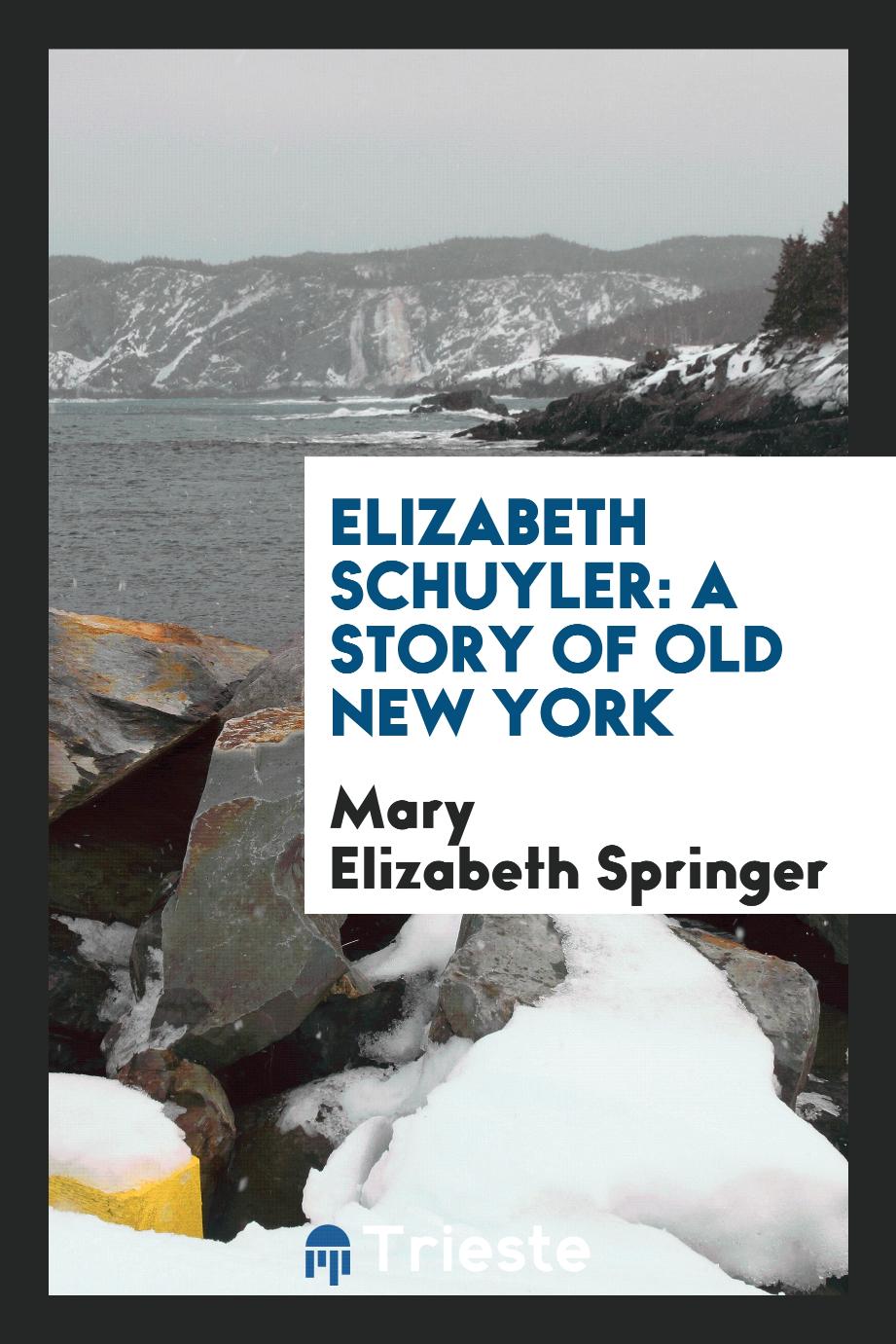 Elizabeth Schuyler: A Story of Old New York