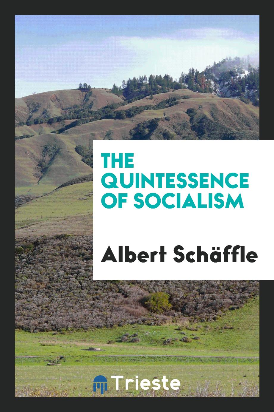 The Quintessence of Socialism