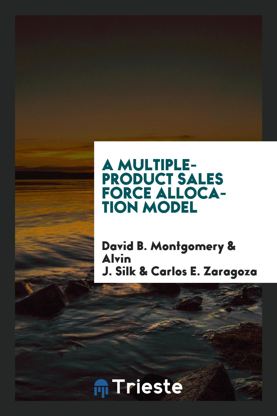 A multiple-product sales force allocation model