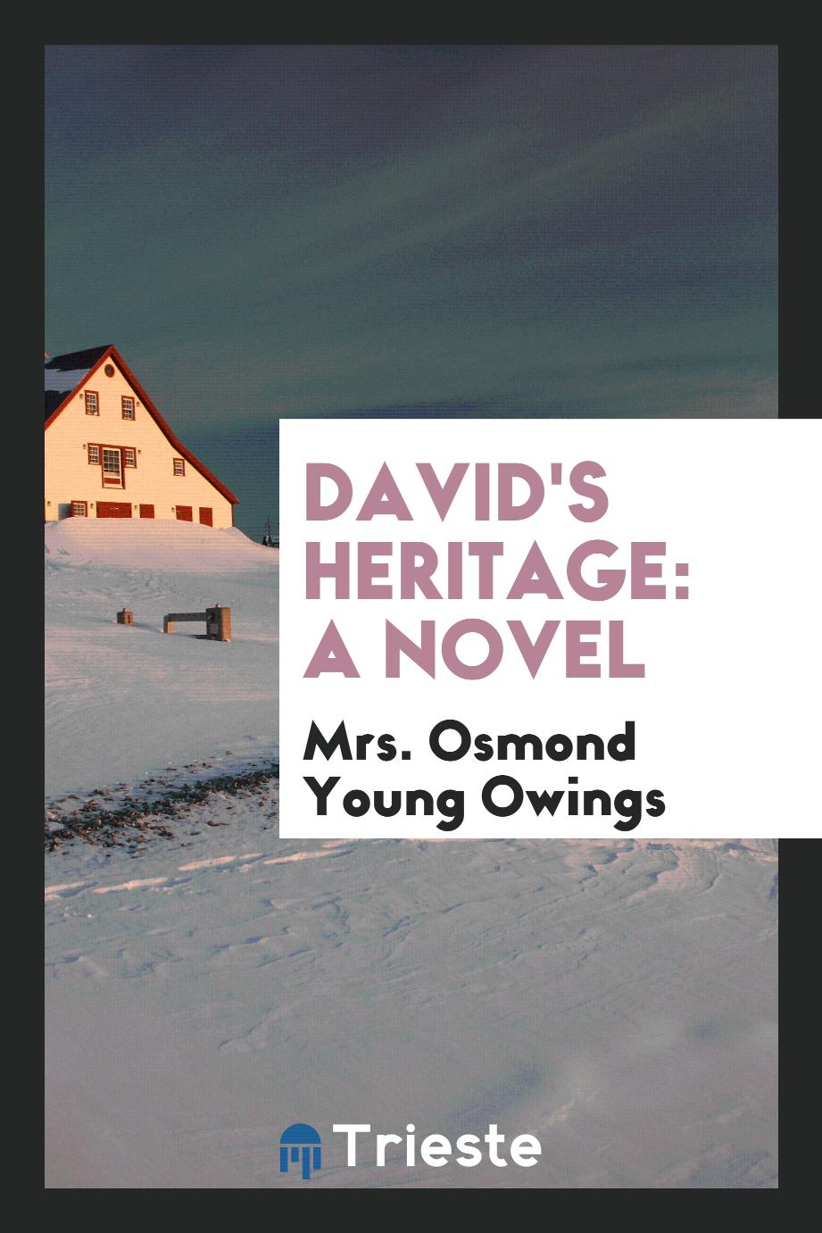 David's Heritage: A Novel