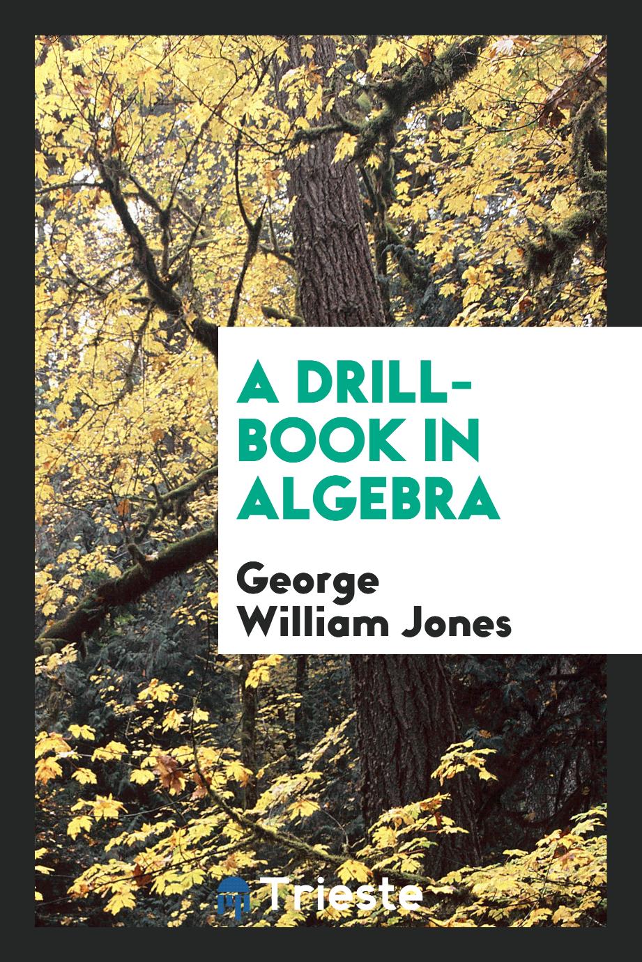 A drill-book in algebra