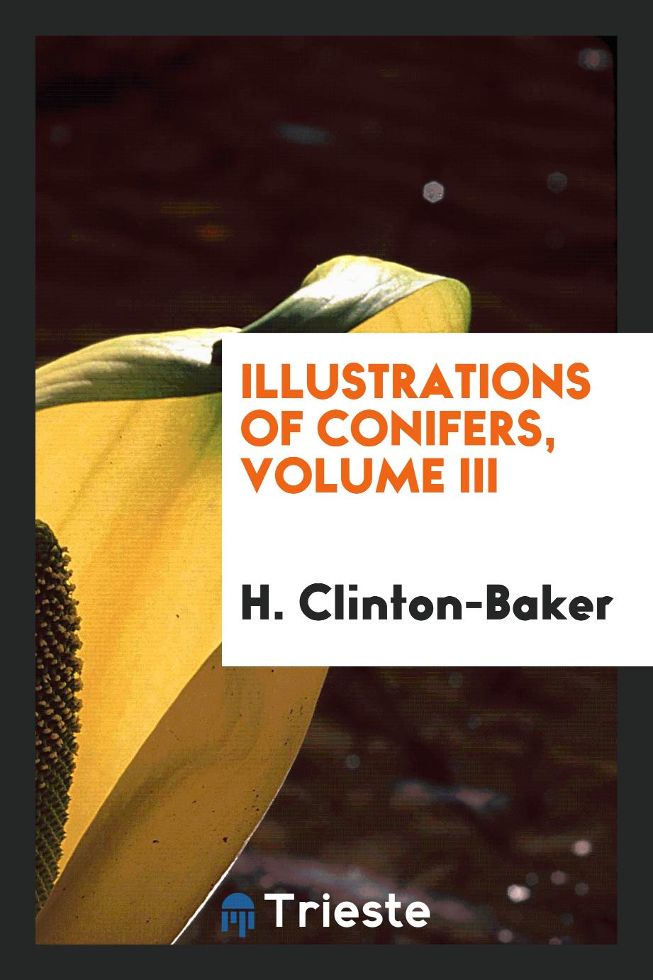 Illustrations of conifers, Volume III