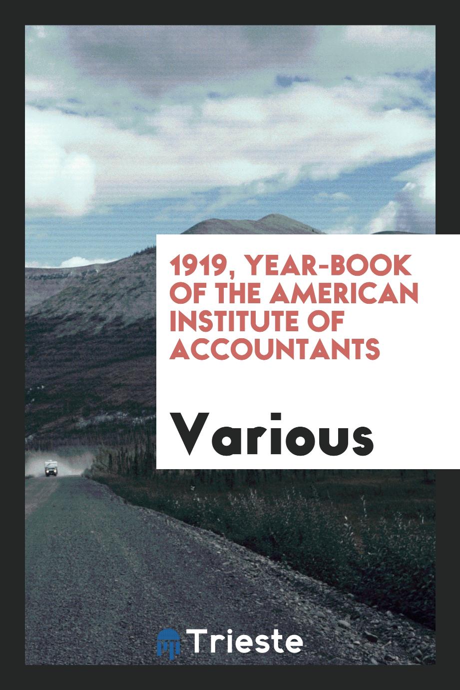1919, Year-Book of the American Institute of Accountants