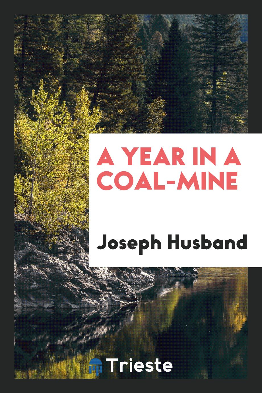A Year in a Coal-Mine