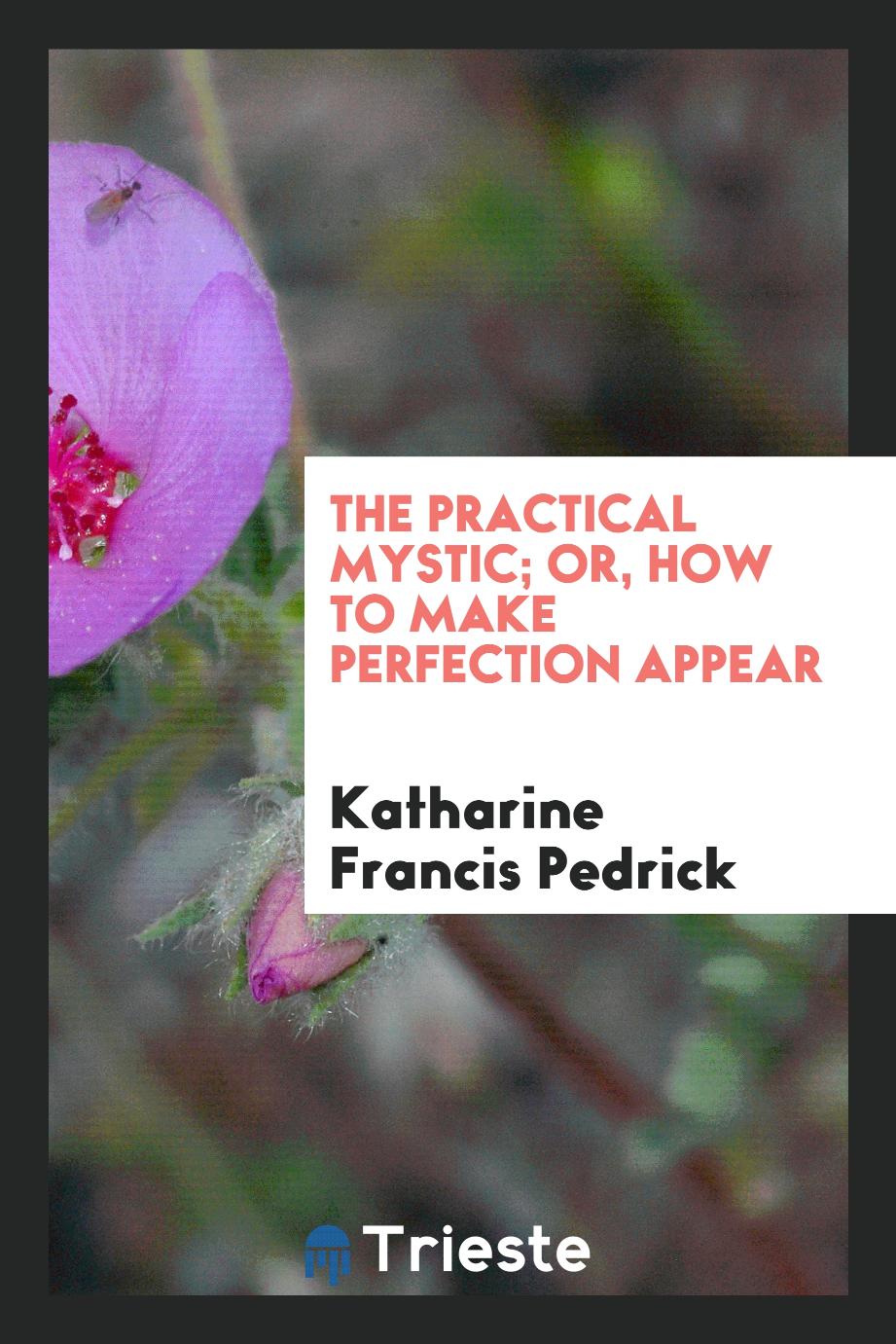 The practical mystic; or, How to make perfection appear