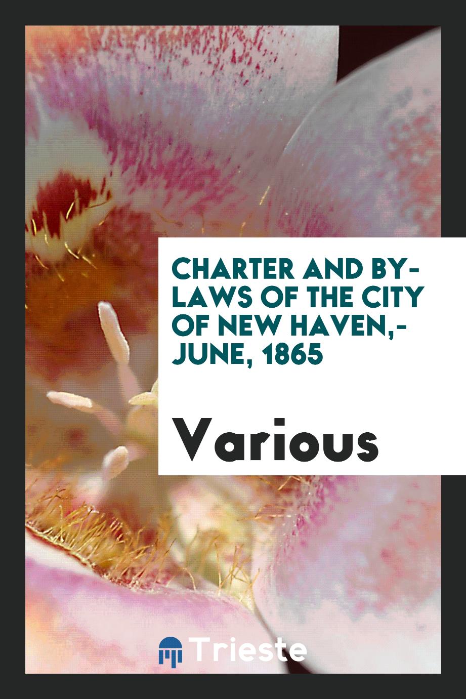 Charter and By-Laws of the City of New Haven,- June, 1865
