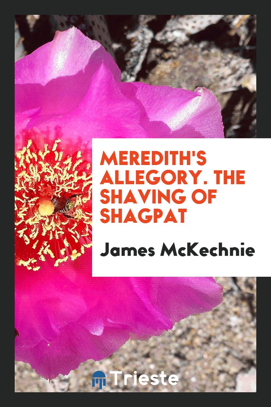 Meredith's Allegory. The Shaving of Shagpat