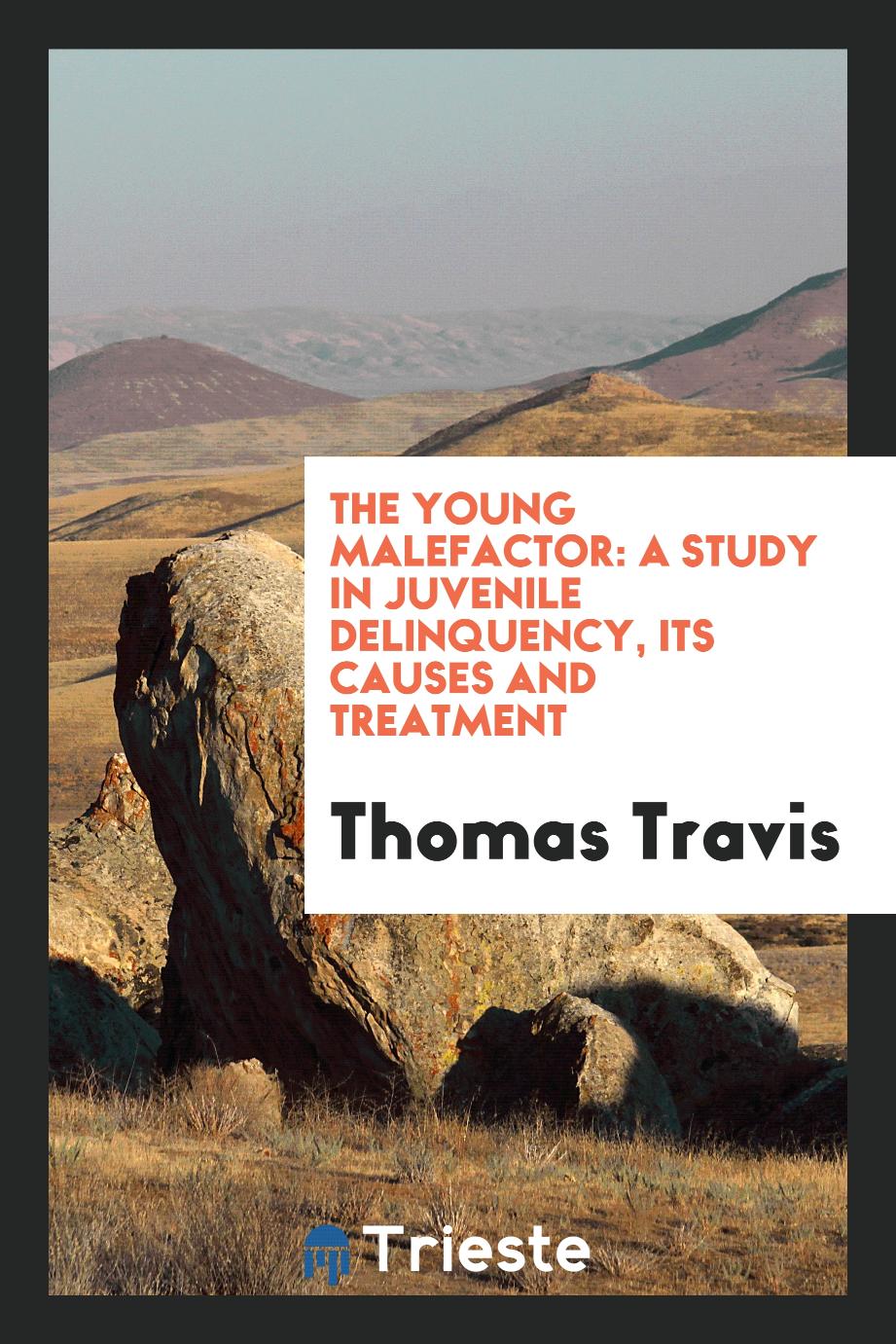 The young malefactor: a study in juvenile delinquency, its causes and treatment