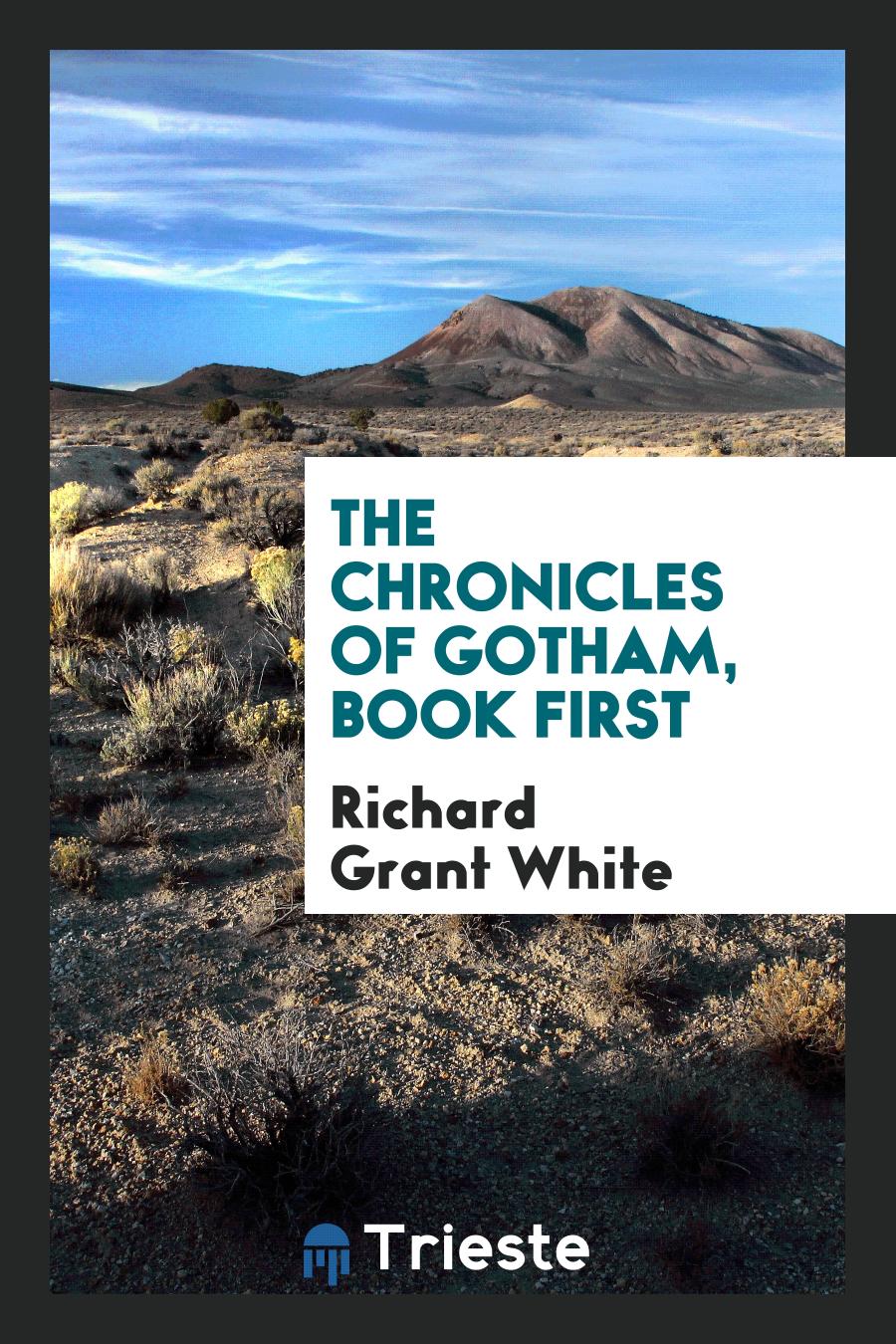 The Chronicles of Gotham, book first