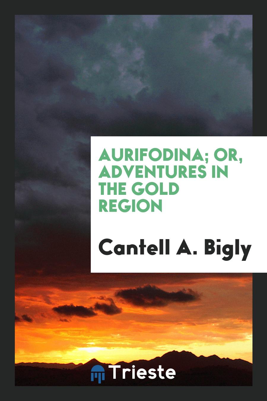 Aurifodina; Or, Adventures in the Gold Region