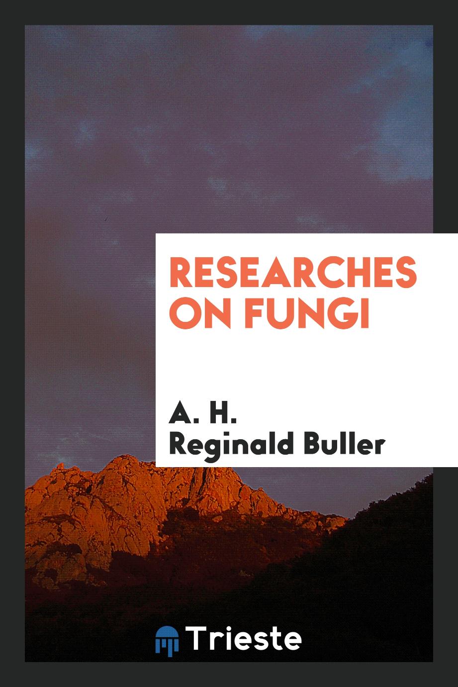Researches on Fungi