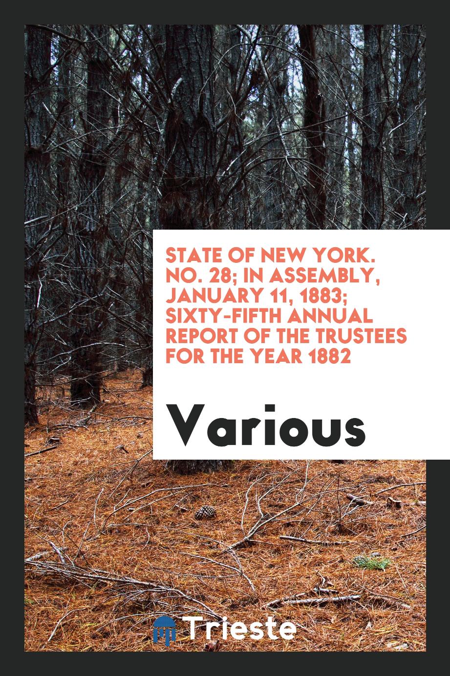 State of New York. No. 28; In Assembly, January 11, 1883; Sixty-Fifth Annual Report of the Trustees for the Year 1882