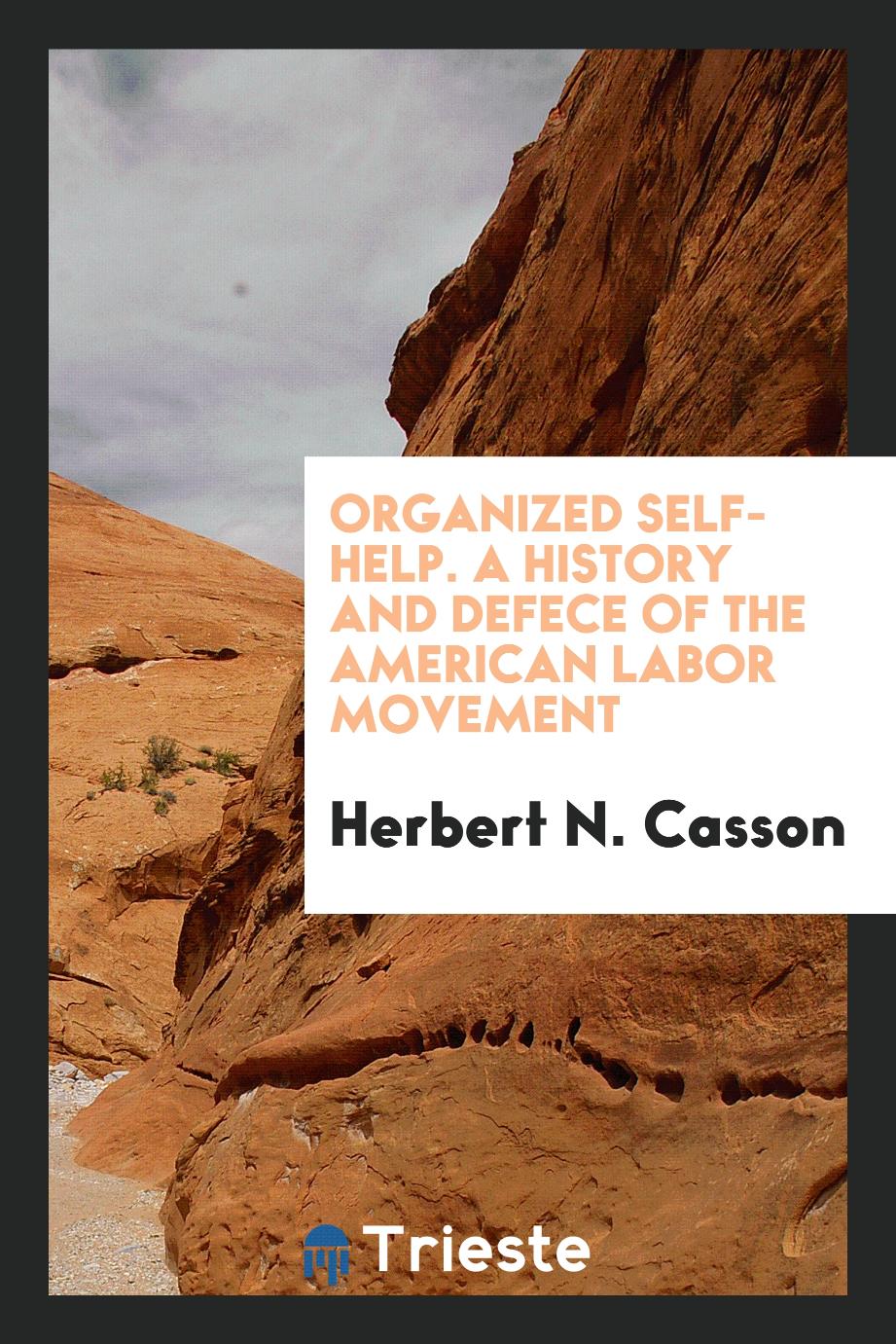 Organized self-help. A history and defece of the American labor movement