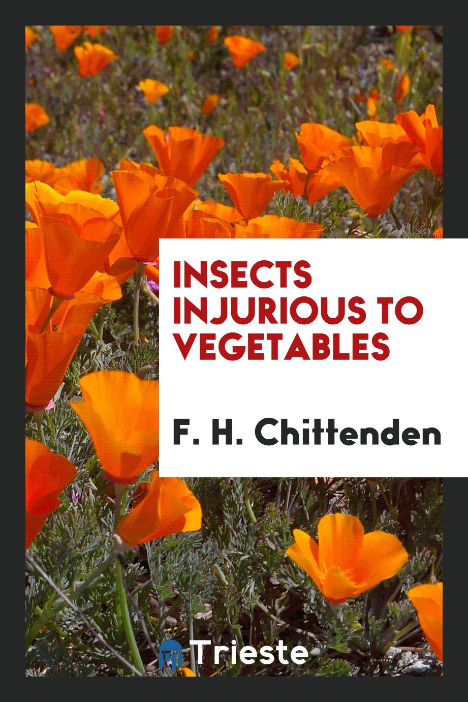 Insects injurious to vegetables
