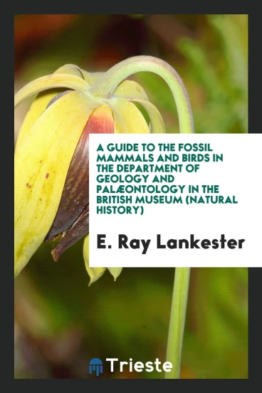 A Guide to the Fossil Mammals and Birds in the Department of Geology and Palæontology in the British Museum (Natural History)