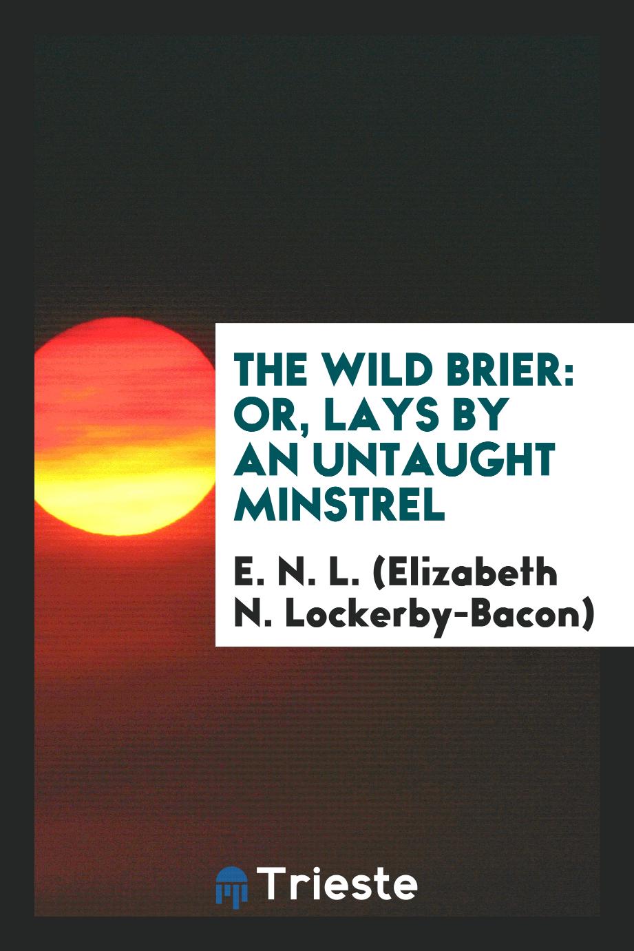 The Wild Brier: Or, Lays by an Untaught Minstrel