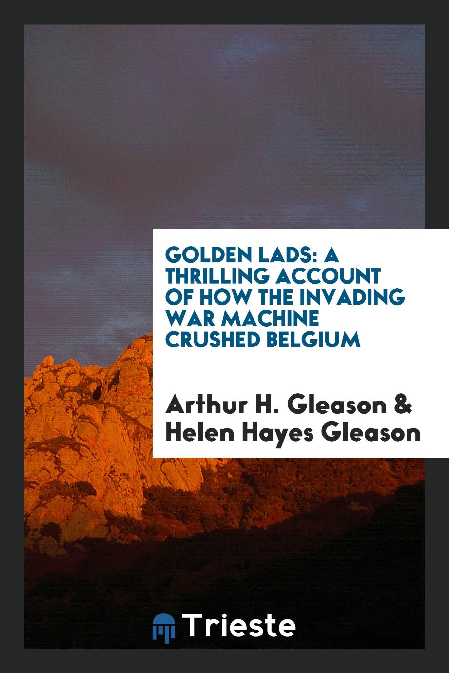 Golden lads: a thrilling account of how the invading war machine crushed Belgium