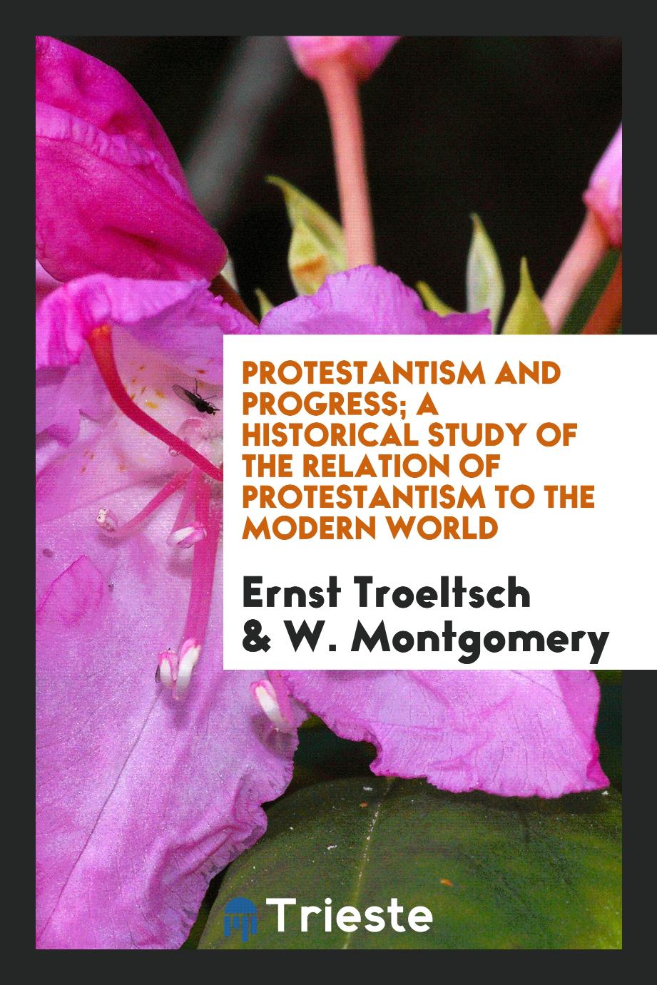 Protestantism and progress; a historical study of the relation of Protestantism to the modern world