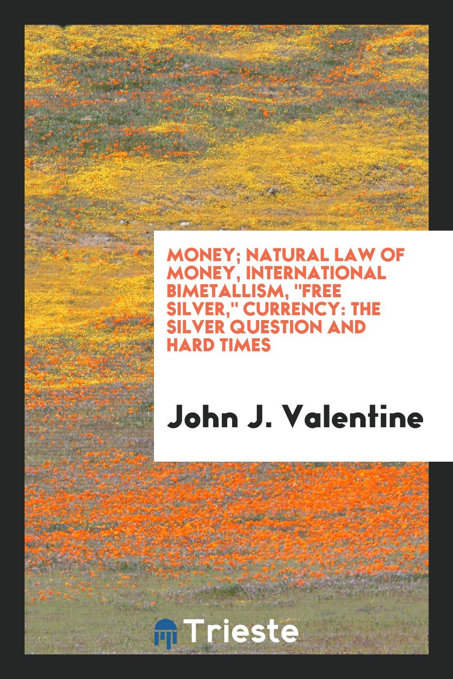 Money; natural law of money, international bimetallism, "free silver," currency: the silver question and hard times