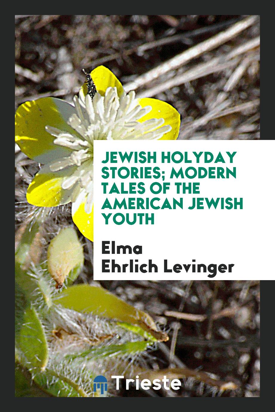 Jewish holyday stories; modern tales of the American Jewish youth