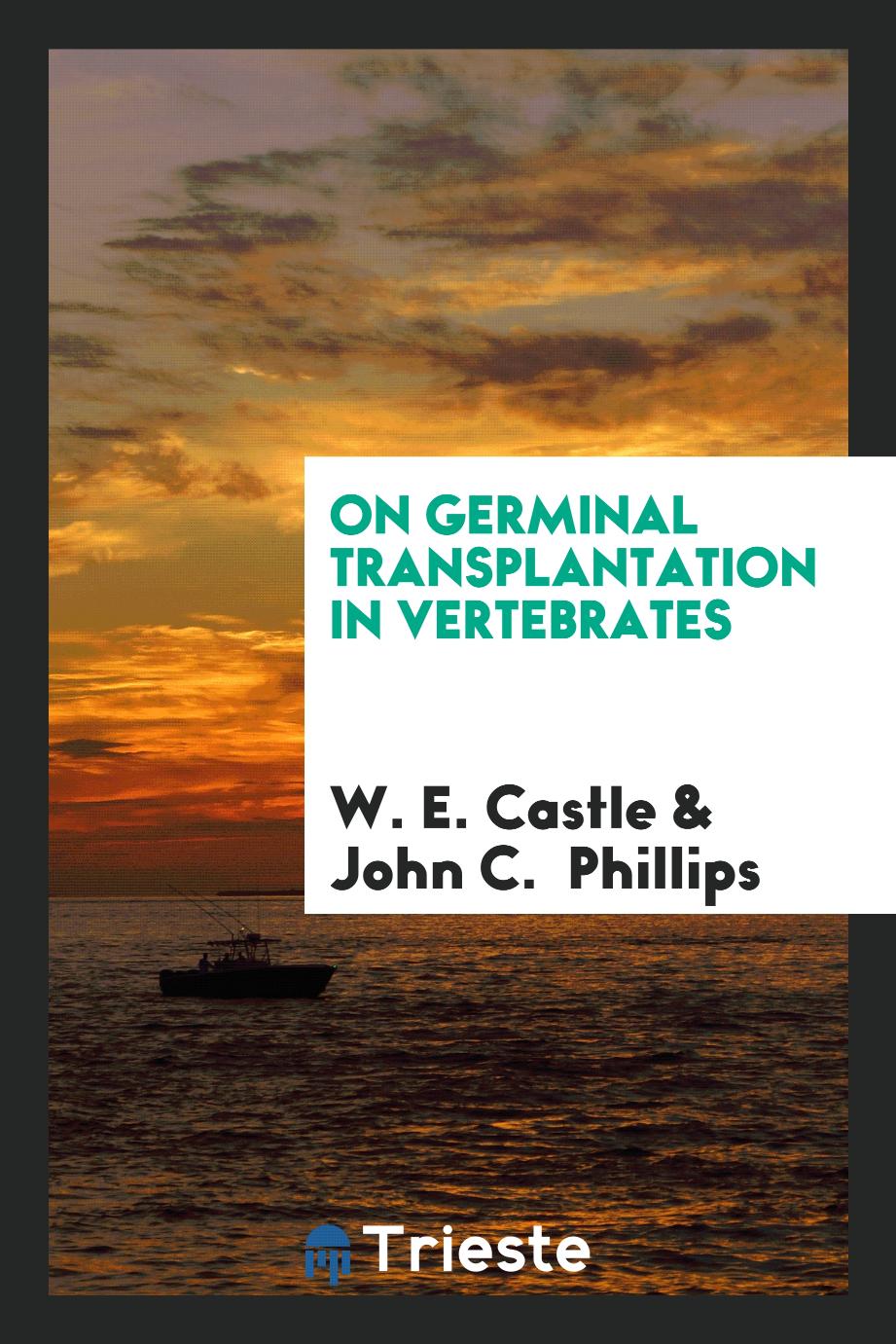 On Germinal transplantation in vertebrates