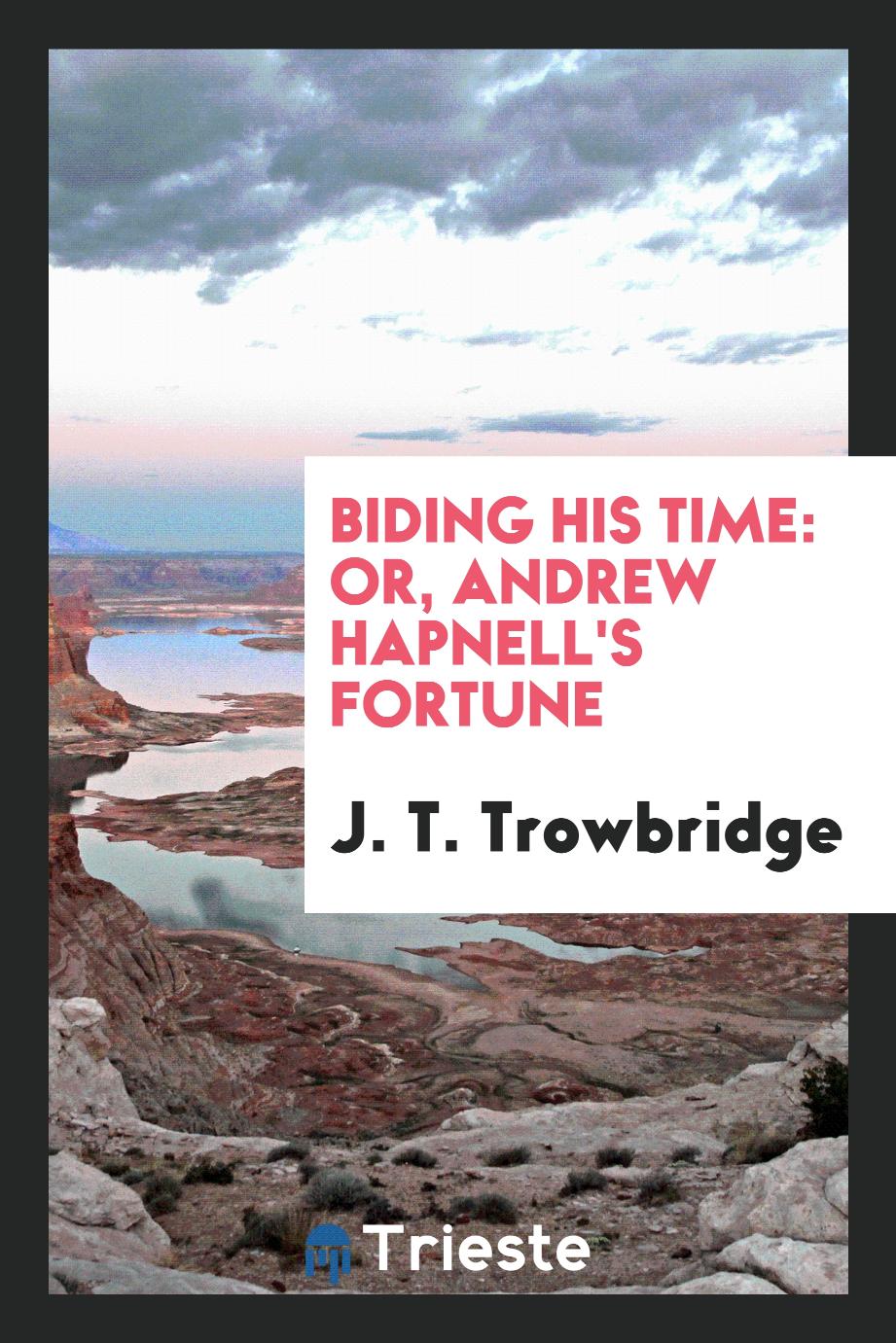 Biding His Time: Or, Andrew Hapnell's Fortune