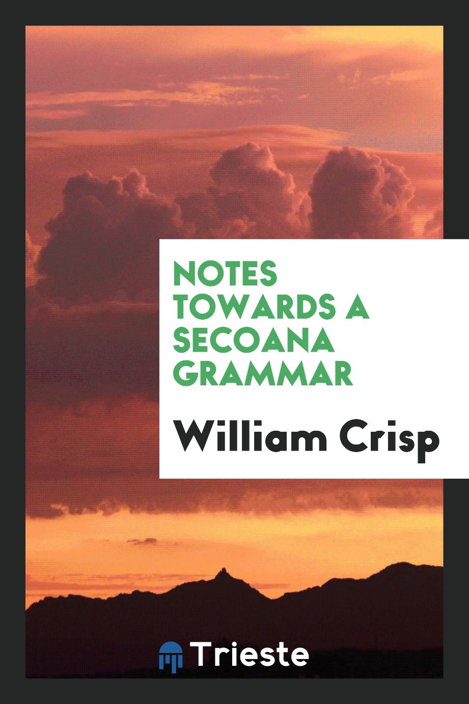 Notes Towards a Secoana Grammar