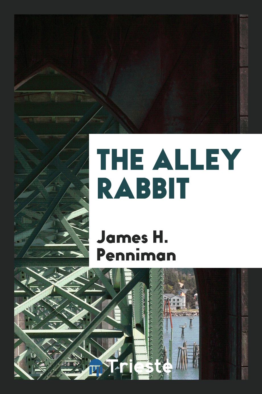 The alley rabbit