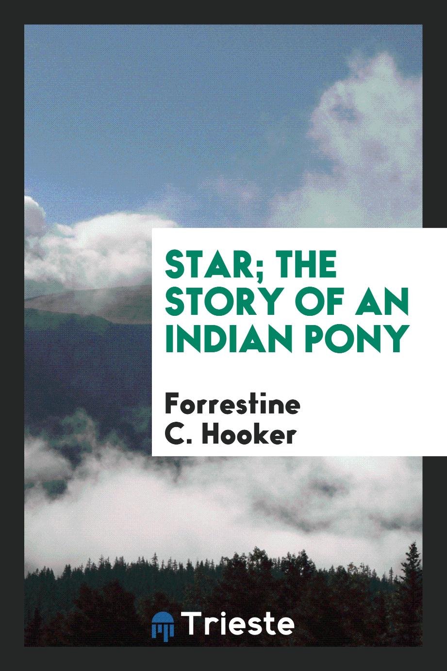 Star; the story of an Indian pony